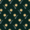 Edelweiss. Mountain flower. Seamless pattern with edelweiss flowers. Royalty Free Stock Photo